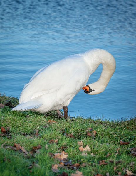 moment for yourself by Hetwie van der Putten