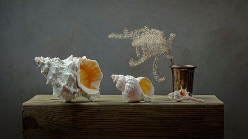 Stillleben Carpe Diem VIII