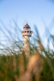 Duinenwacht: De Vuurtoren van Egmond aan Zee van NDW