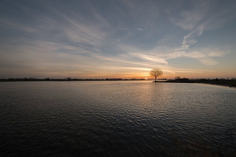 Tree by Moetwil en van Dijk - Fotografie