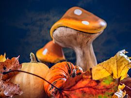 CONCEPT AUTOMNE : DES CITROUILLES EN OCTOBRE sur Photoart-Naegele