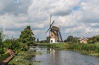 Mallemolen in Gouda