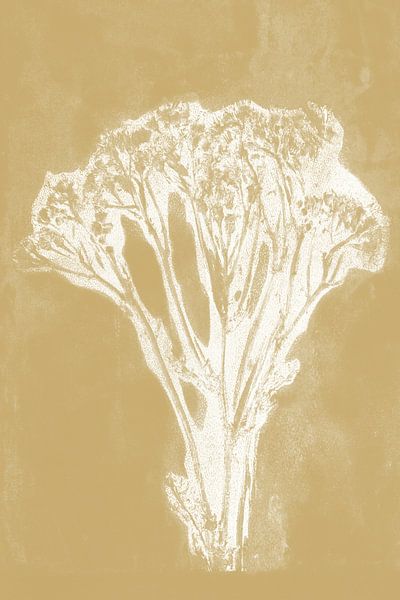 White flower in retro style. Modern botanical minimalist art in yellow and white by Dina Dankers