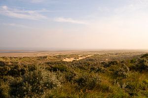 Sonnenaufgang mit Nebel in den Dünen an einem sonnigen Sommermorgen