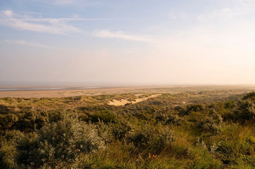 Sunrise with mist in the dunes during a sunny summer morning by Sjoerd van der Wal Photography