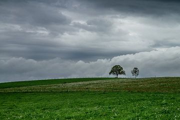 Paysage d'Aubrac sur gerald chapert