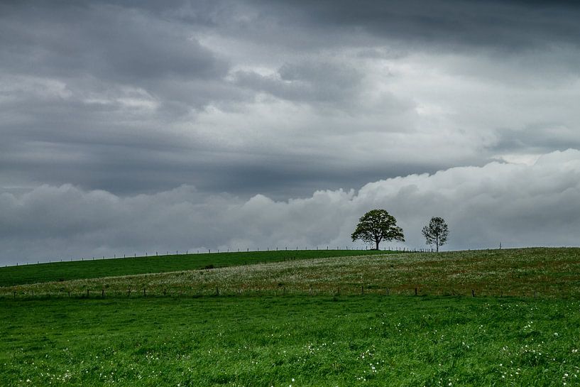 Paysage d'Aubrac by gerald chapert