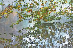 Herfst in Het Park, Rotterdam