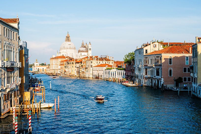 Venedig - Santa Maria della Salute im Abendlicht von Vincent Bornbaum