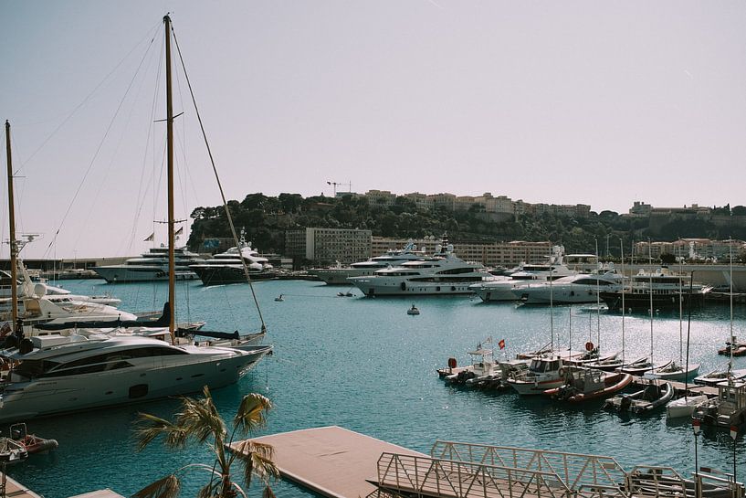 Monaco by Hello Pompoyo
