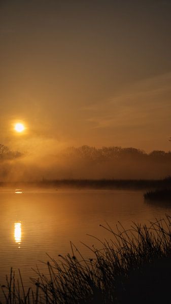 sunrise with fog by Rene scheuneman