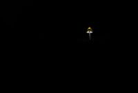 Licht in der Dunkelheit