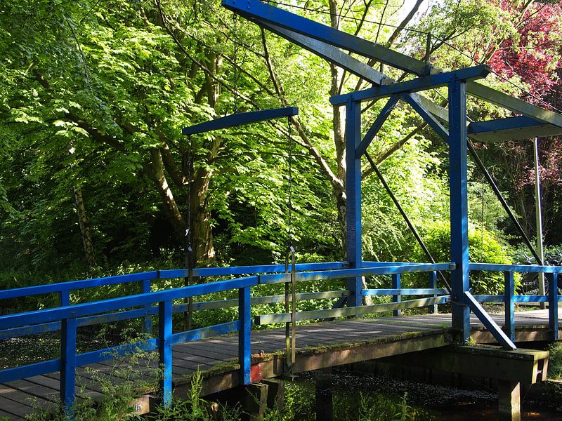 The blue bridge von Jon Houkes
