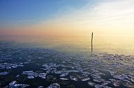Visserij stok van een net kalm bevroren water van Jan Brons thumbnail