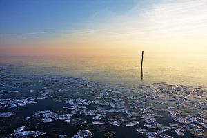 Fishing net stick in calm frozen water sur Jan Brons