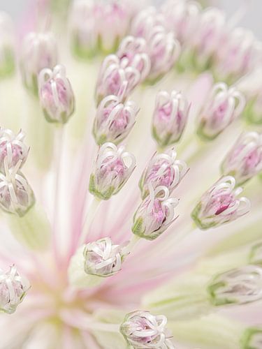 De lente komt eraan!