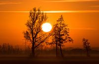 Sunrise with a layer of fog