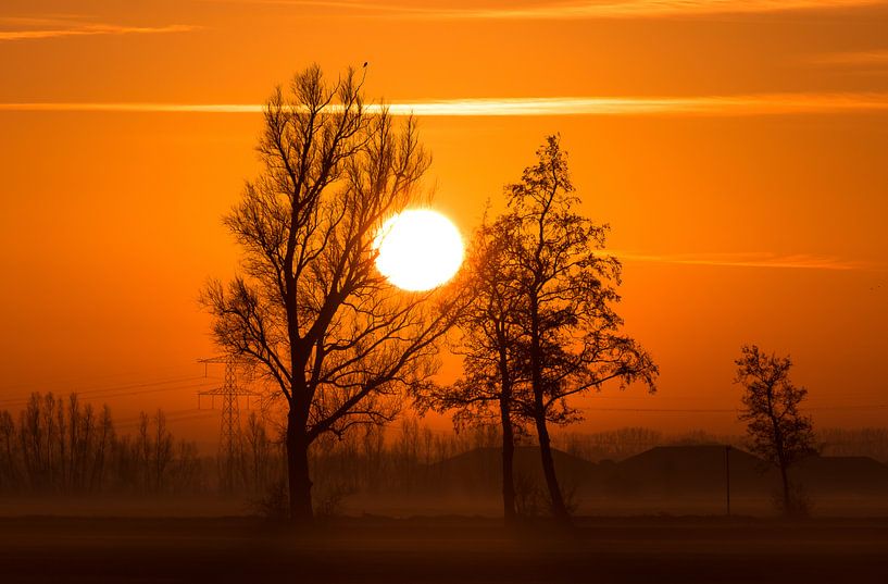 Sunrise with a layer of fog by Devlin Jacobs