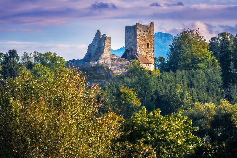 Château de Sulzberg dans l'Allgäu par ManfredFotos