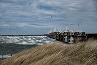 Oosterschelde