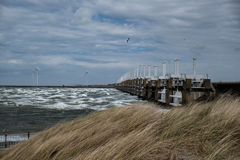 Oosterschelde van Nienke Stegeman