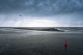 Das Wattenmeer von Sammie van der Hooft
