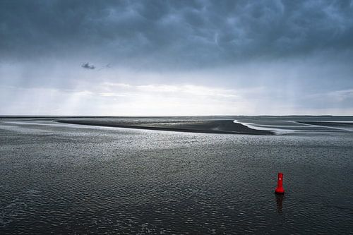 Les Wadden sur Sammie van der Hooft