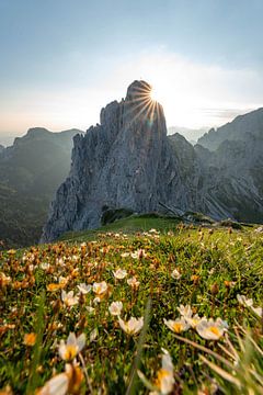 Vue fleurie sur les montagnes du Tyrol et de Tannheim sur Leo Schindzielorz
