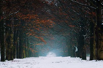 Winter Colors van Martin Podt