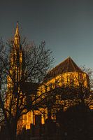 Nieuwe Kerk, Delft