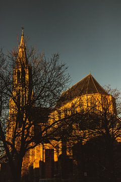 Nieuwe Kerk, Delft van Paul Schlüter