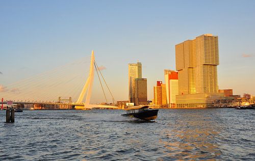 Rotterdam