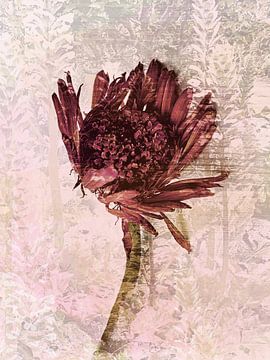 Bloesem in een zee van acanthus van A perfect day studio