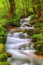 Cascades sur Thomas Herzog