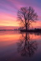 Red reflection on the Meuse