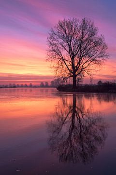 Red reflection on the Meuse by R. Maas
