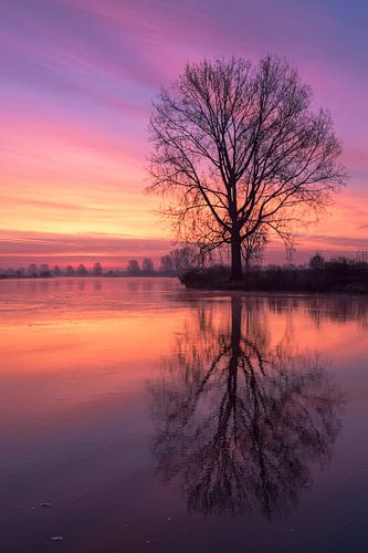 Rote Reflexion über die Maas von R. Maas