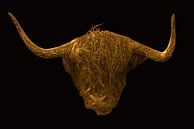 Schotse hooglander illustratie in goud van Humphry Jacobs thumbnail