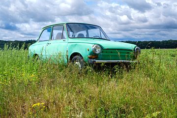 Groene Daf personenauto in een Zomers weideveld van Evert Jan Luchies