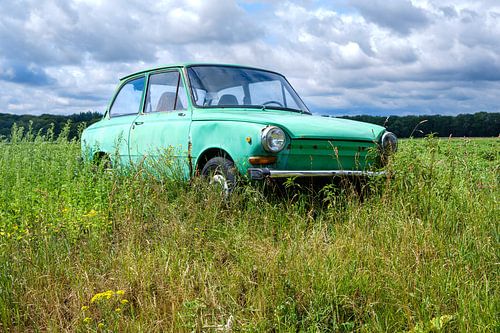 Green Daf passenger car in a summer meadow