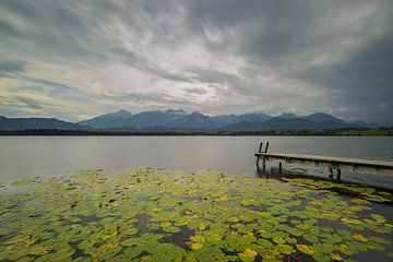 Hopfensee im Allgäu von Walter G. Allgöwer