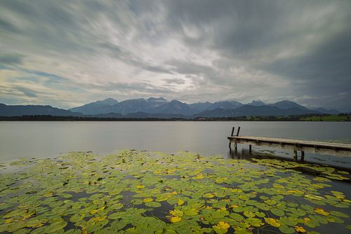 Hopfensee im Allgäu