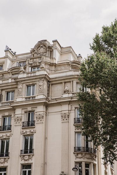 Pariser Fassade von Amber den Oudsten