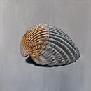 Fibonacci was here - painting of a shell by Qeimoy thumbnail