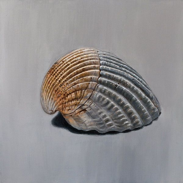 Fibonacci was here - painting of a shell by Qeimoy