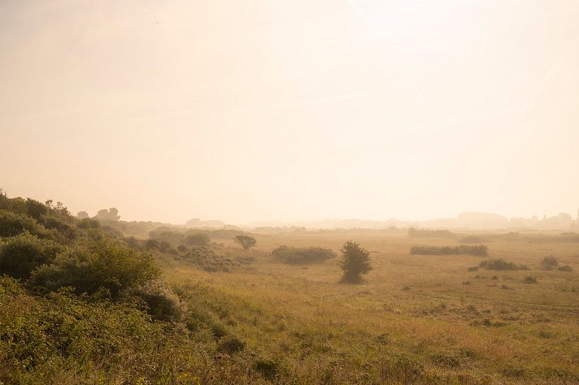 Mistige zonsopgang in de duinen van Goeree van Sjoerd van der Wal Fotografie