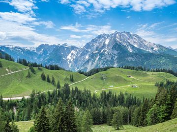 Blick auf den Watzmann in den Berchtesgadener Alpen von Animaflora PicsStock