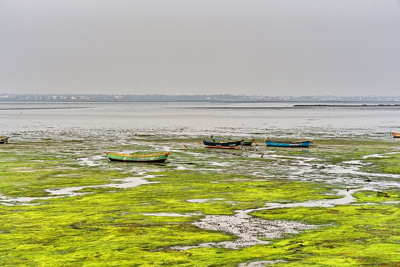Colours and reflections at low tide in Diu by Frank Photos