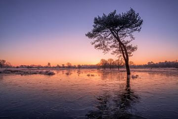 Magische zonsopkomst bij bevroren meer van Moetwil en van Dijk - Fotografie