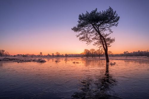 Magische zonsopkomst bij bevroren meer